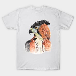 Wild beauty Ornate hawk eagle Watercolor Cut T-Shirt